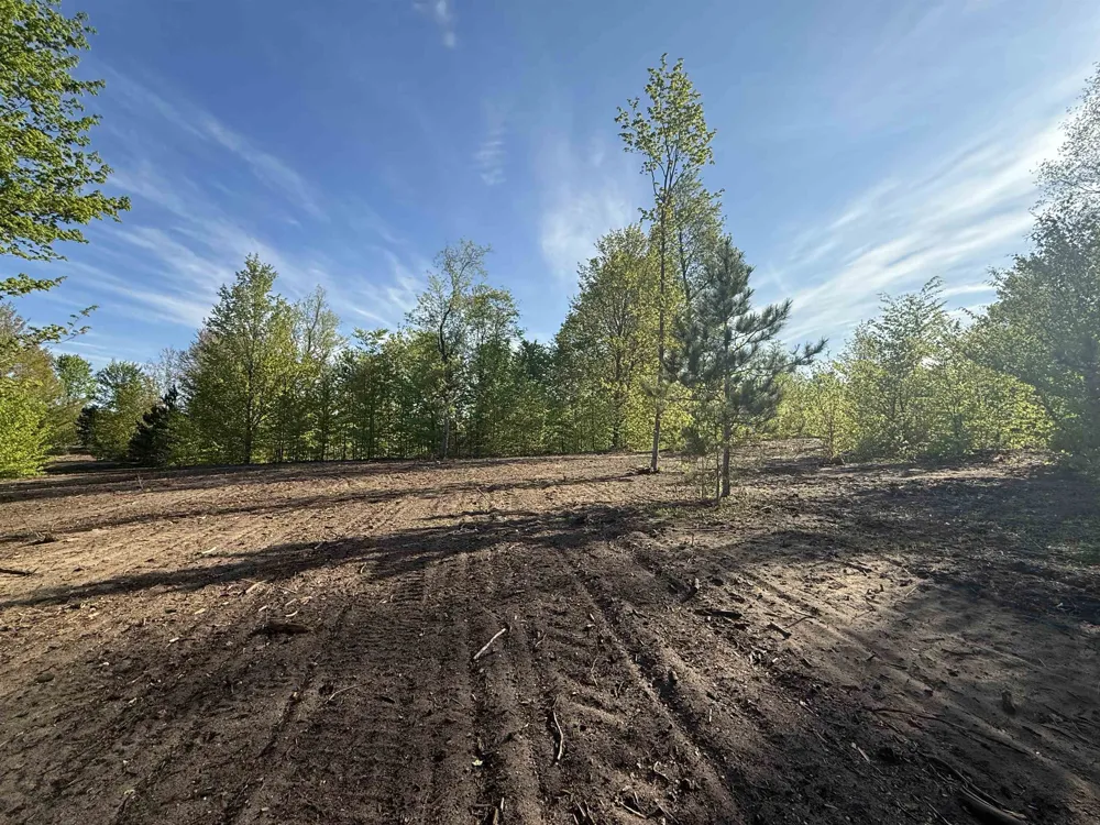 1029 E Solaris Way Kasson Township, MI 49664