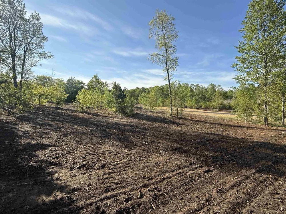 1029 E Solaris Way Kasson Township, MI 49664
