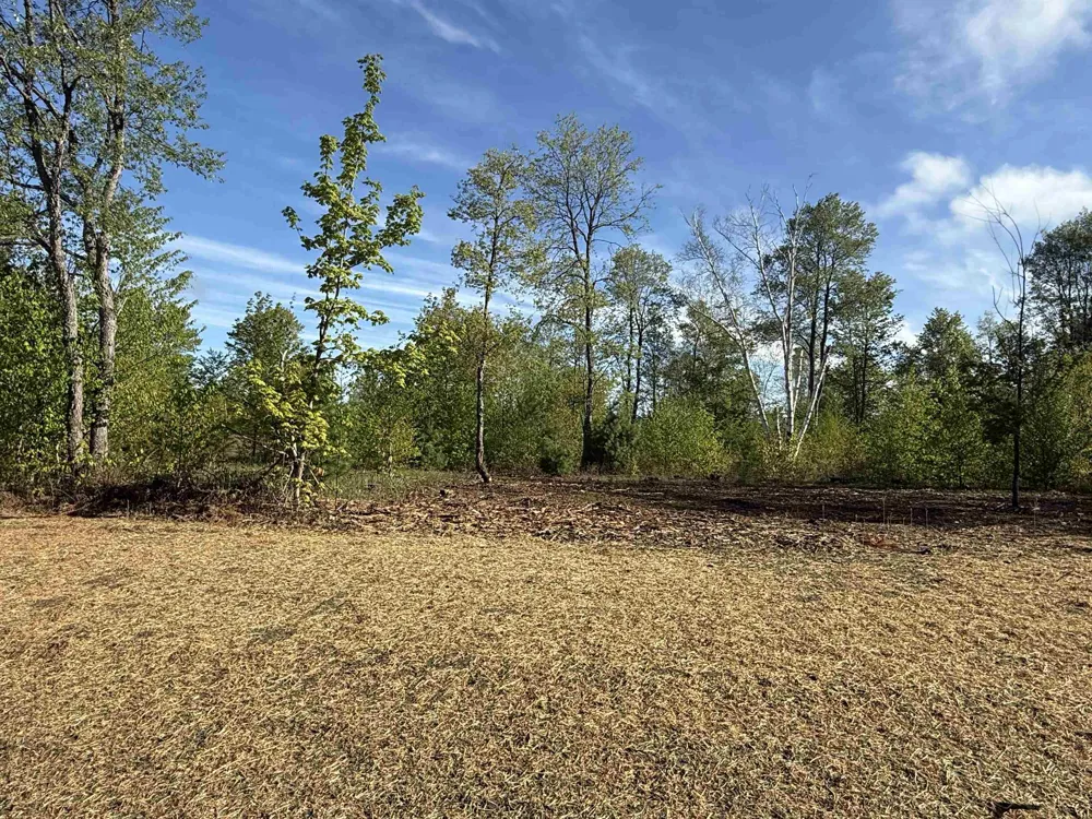 1087 E Solaris Way Kasson Township, MI 49664