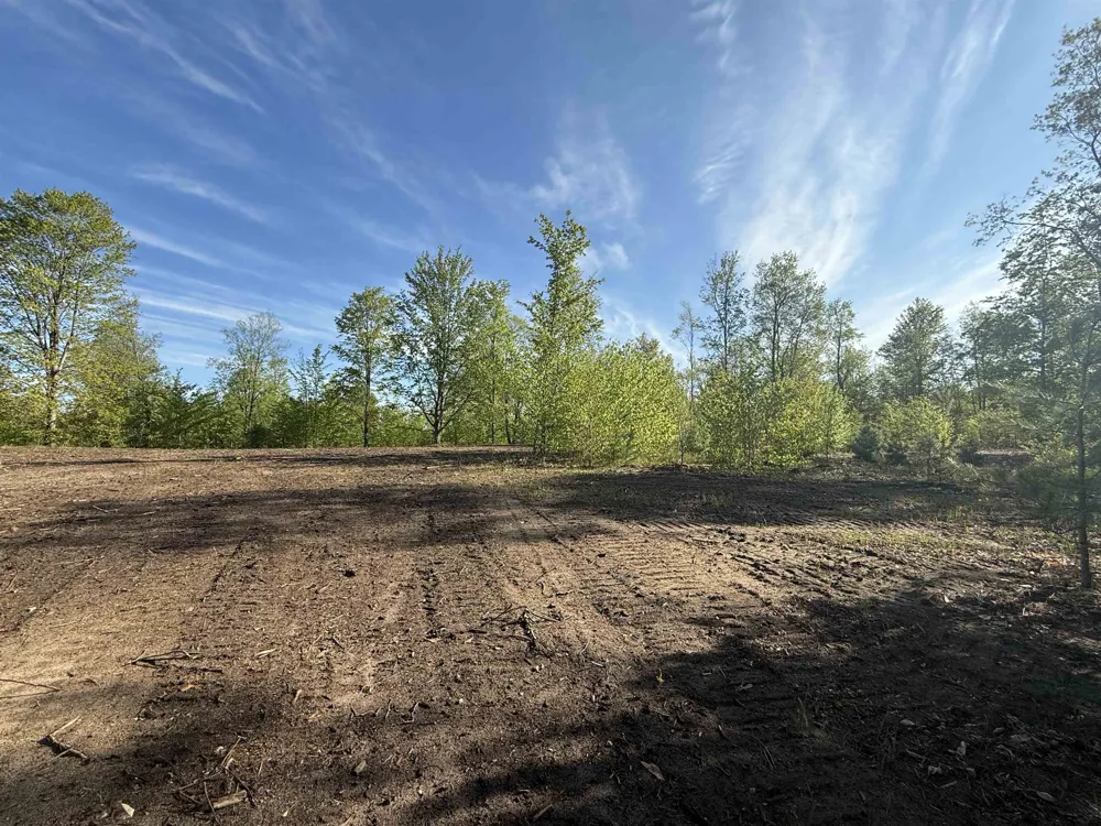 1087 E Solaris Way Kasson Township, MI 49664