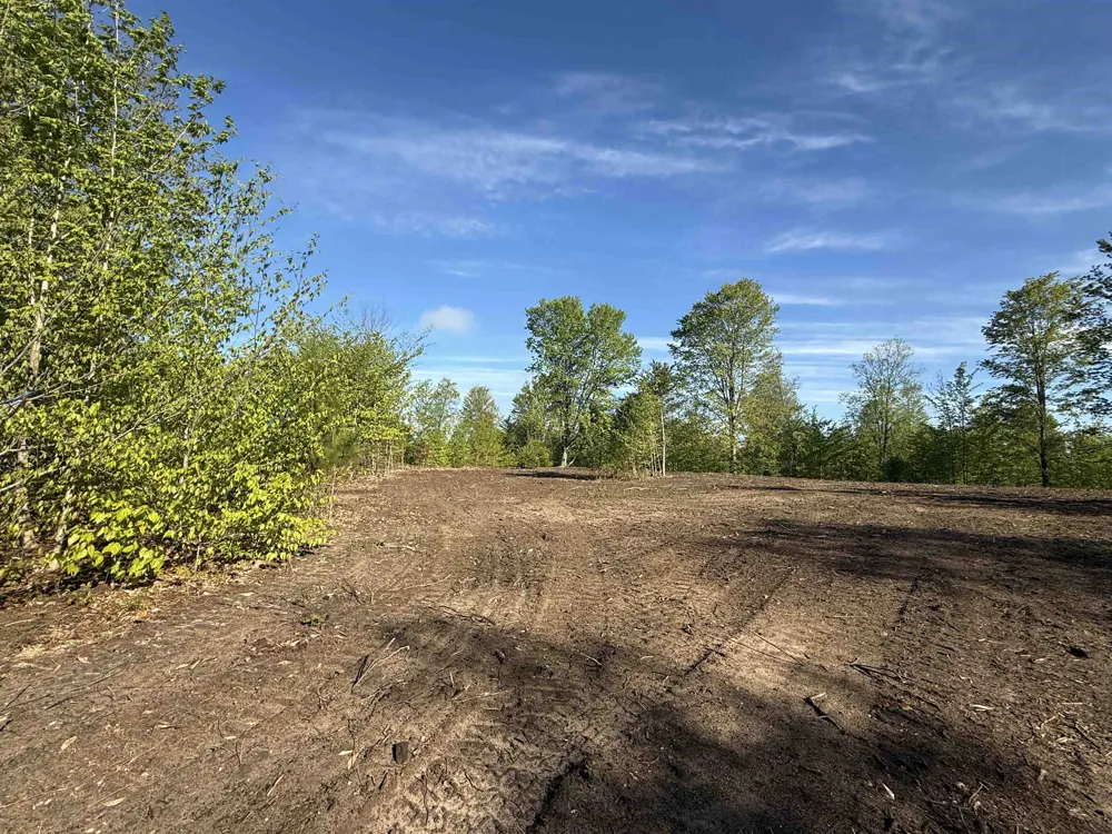 1087 E Solaris Way Kasson Township, MI 49664