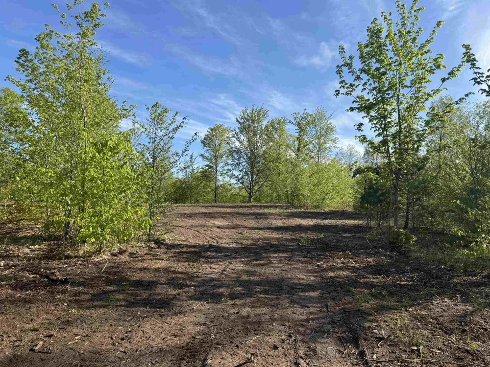 1087 E Solaris Way Kasson Township, MI 49664
