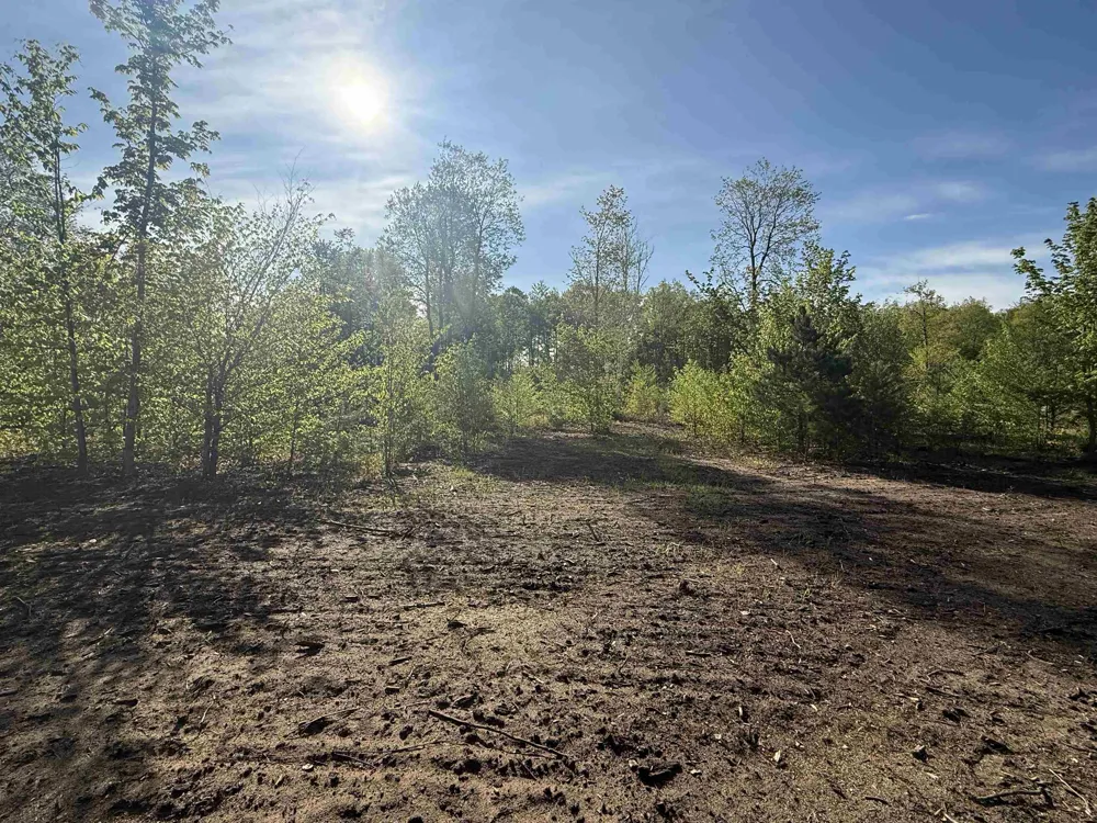 1087 E Solaris Way Kasson Township, MI 49664