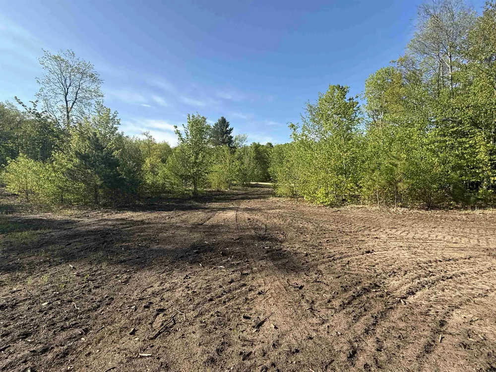 1087 E Solaris Way Kasson Township, MI 49664