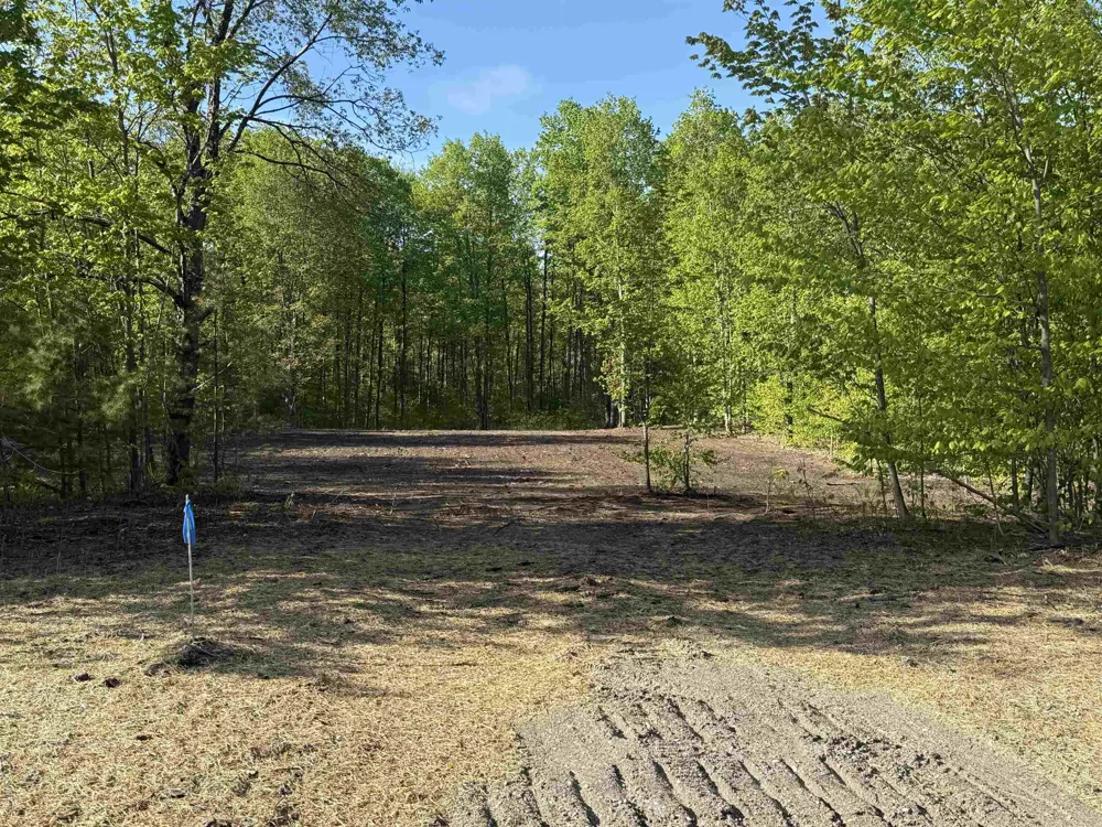 1128 E Solaris Way Kasson Township, MI 49664