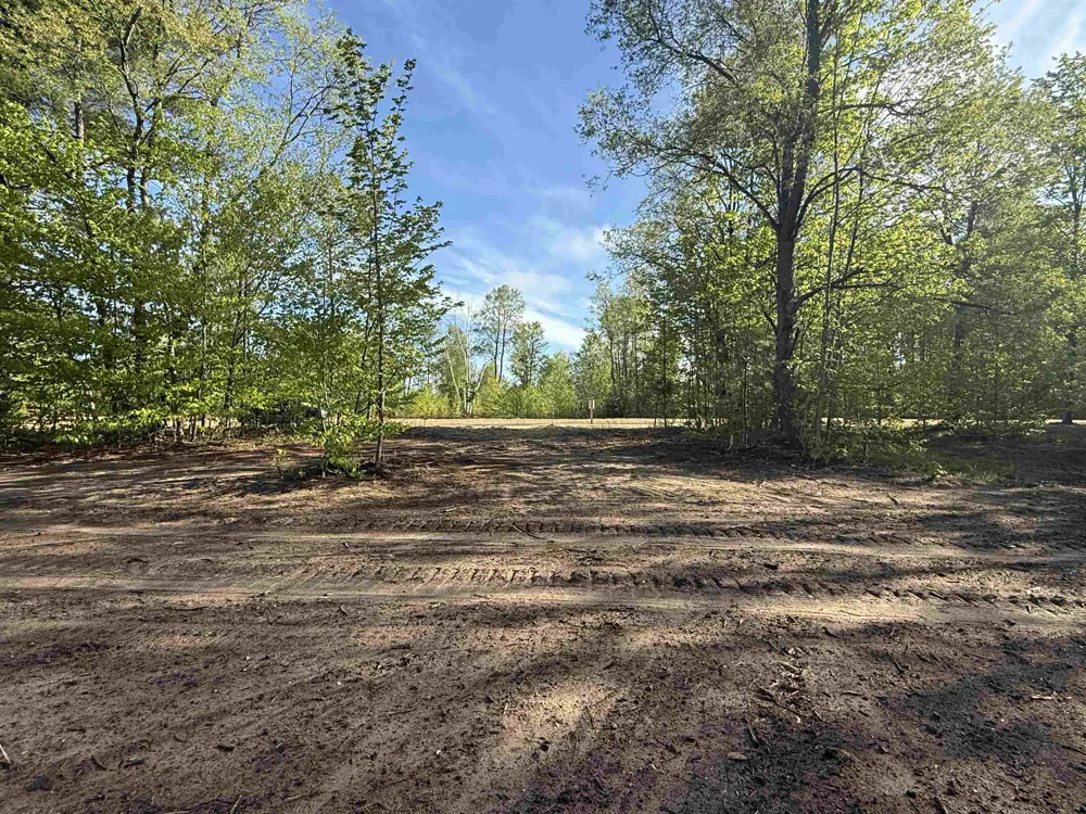 1128 E Solaris Way Kasson Township, MI 49664