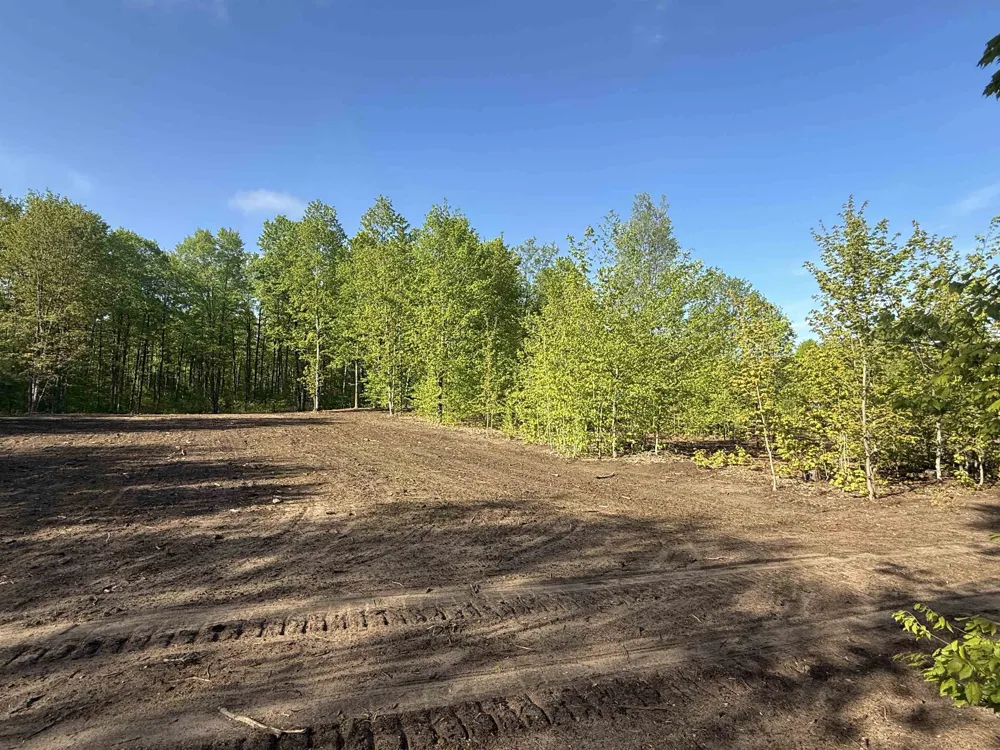 1128 E Solaris Way Kasson Township, MI 49664