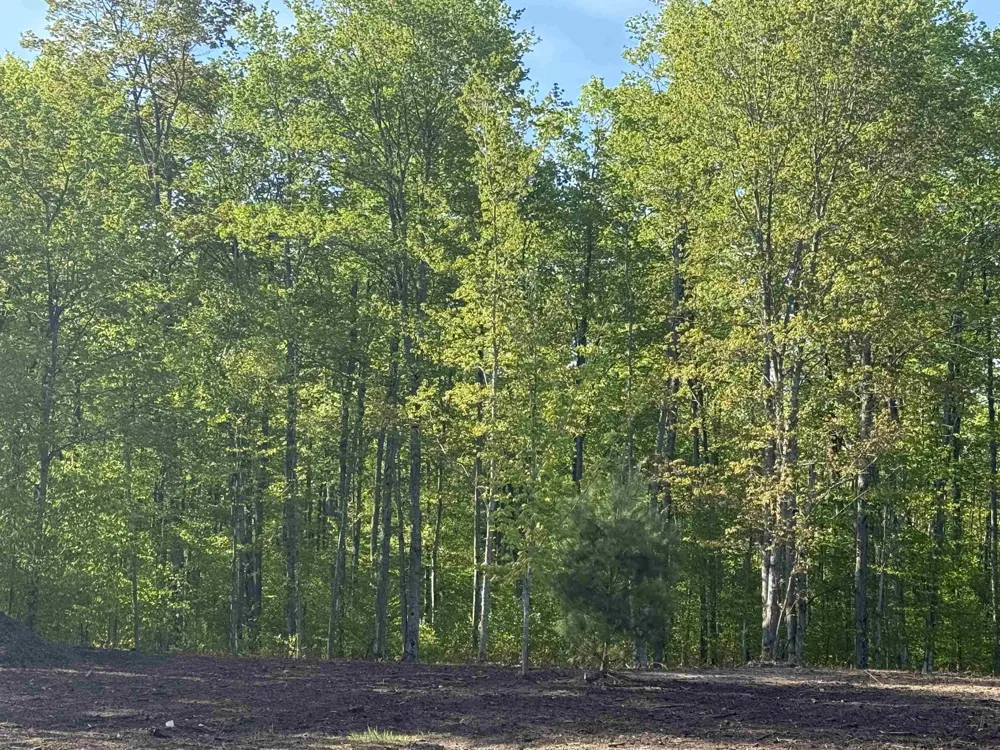 1128 E Solaris Way Kasson Township, MI 49664