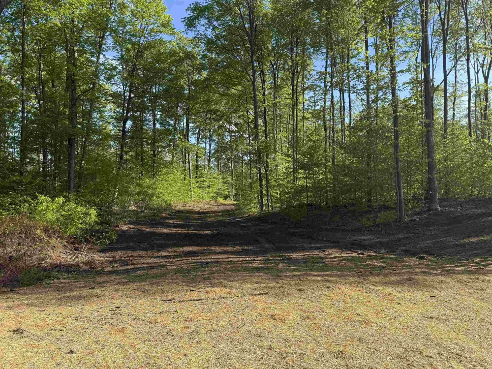1371 E Solaris Way Kasson Township, MI 49664