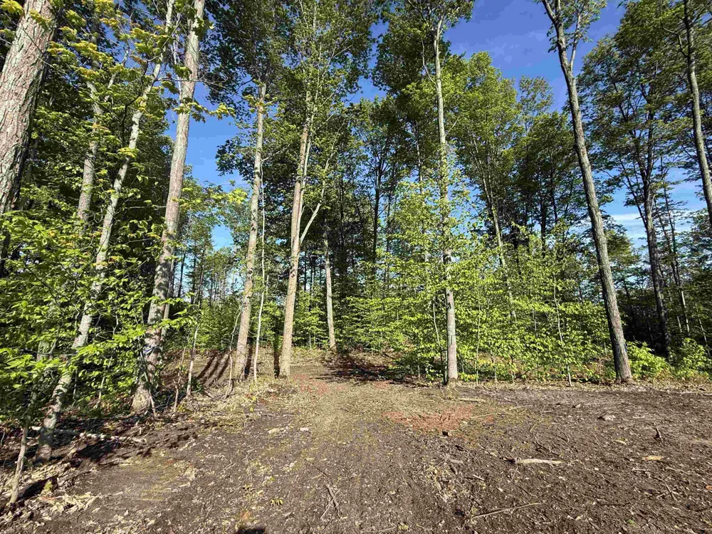 1371 E Solaris Way Kasson Township, MI 49664
