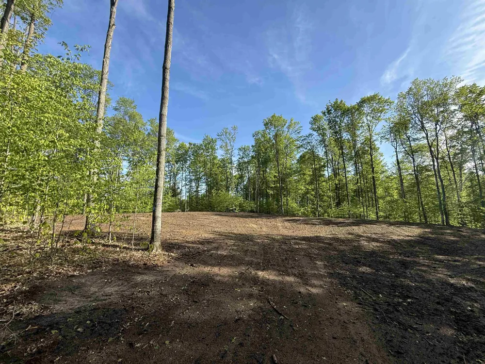 1371 E Solaris Way Kasson Township, MI 49664