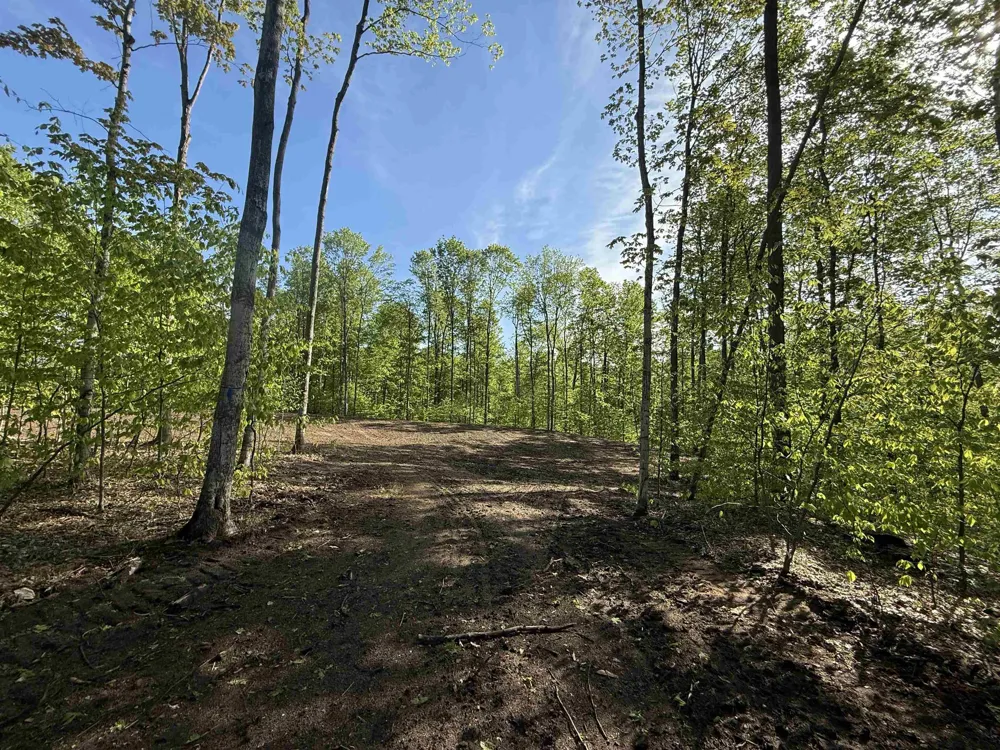1371 E Solaris Way Kasson Township, MI 49664
