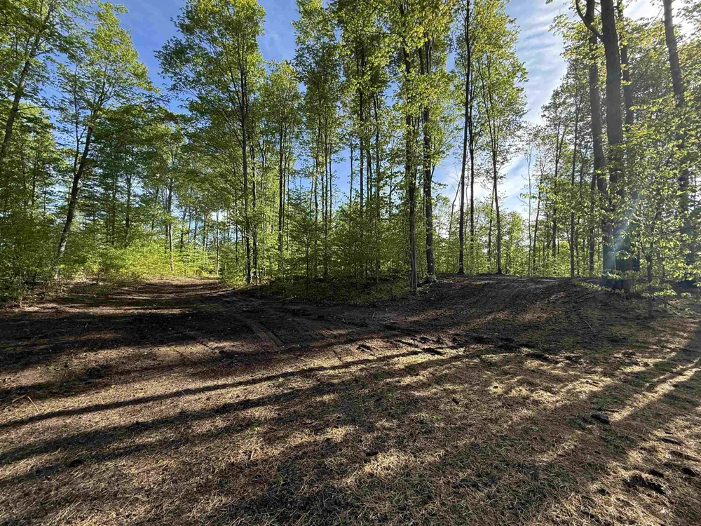 1371 E Solaris Way Kasson Township, MI 49664