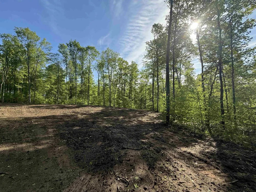 1371 E Solaris Way Kasson Township, MI 49664