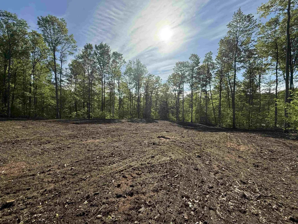 1371 E Solaris Way Kasson Township, MI 49664