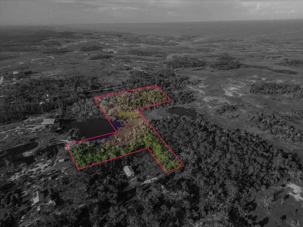 TBD SW 276 AVENUE Steinhatchee, FL 32359