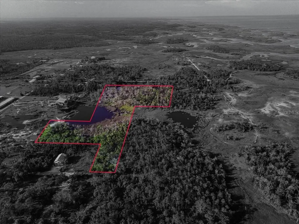 TBD SW 276 AVENUE Steinhatchee, FL 32359