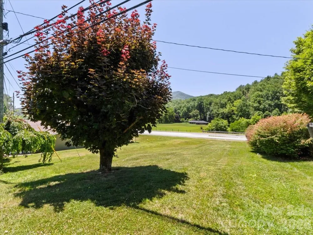 39 Hawthorne Lane Burnsville, NC 28714