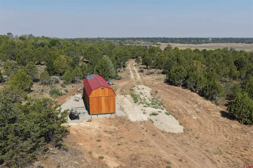 2 County Road Y43 Norwood, CO 81423