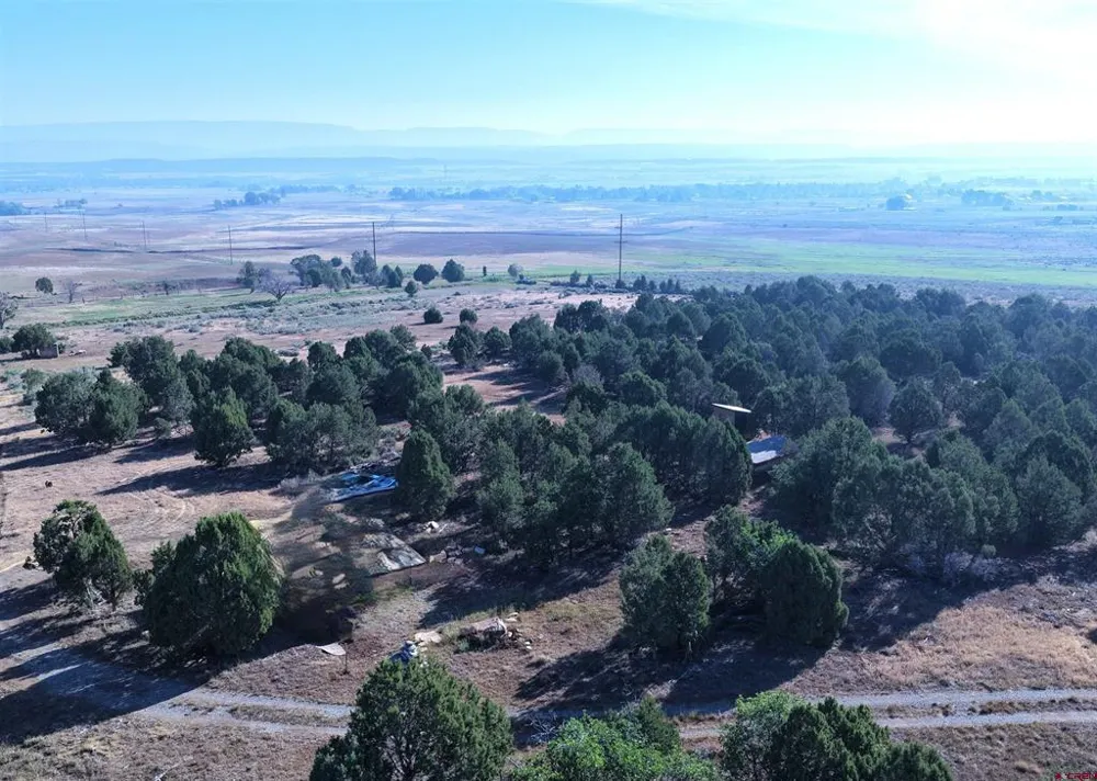 2 County Road Y43 Norwood, CO 81423