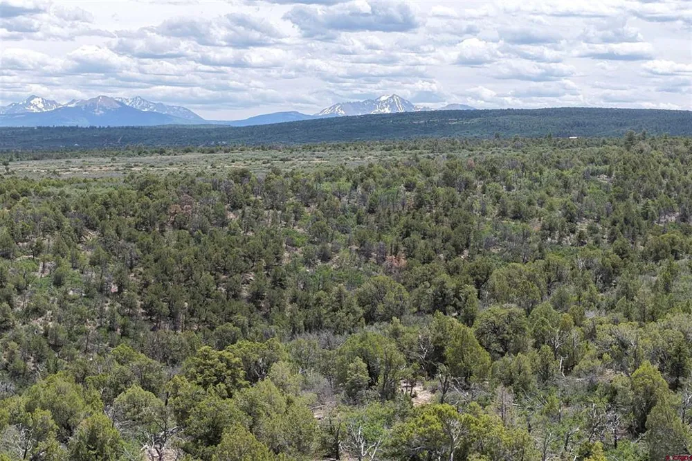 2 County Road Y43 Norwood, CO 81423