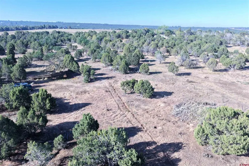 2 County Road Y43 Norwood, CO 81423