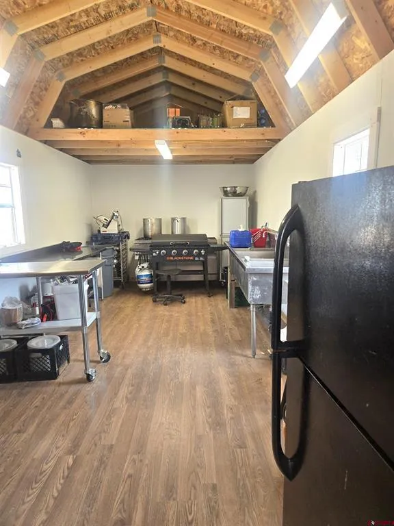 2 County Road Y43 Norwood, CO 81423