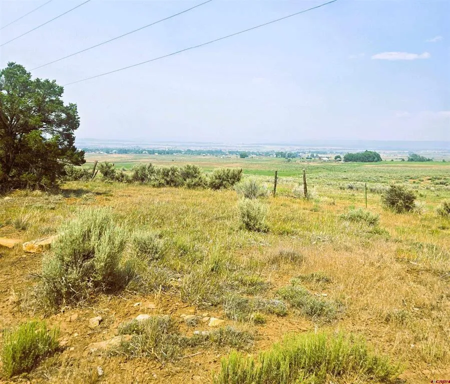 2 County Road Y43 Norwood, CO 81423