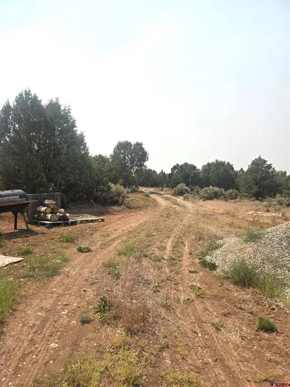 2 County Road Y43 Norwood, CO 81423