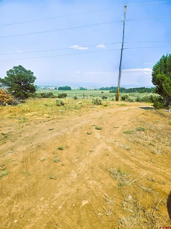 2 County Road Y43 Norwood, CO 81423