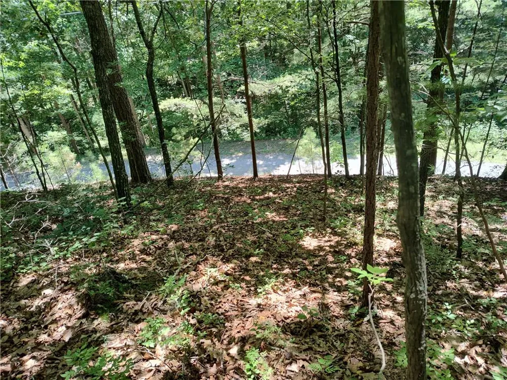 560 Neptune Circle Ranger, GA 30734