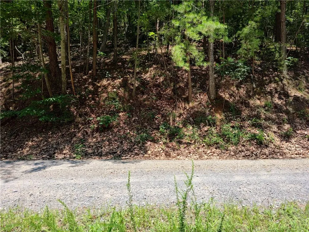560 Neptune Circle Ranger, GA 30734