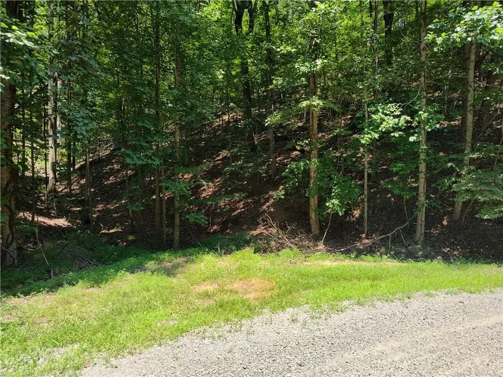 560 Neptune Circle Ranger, GA 30734