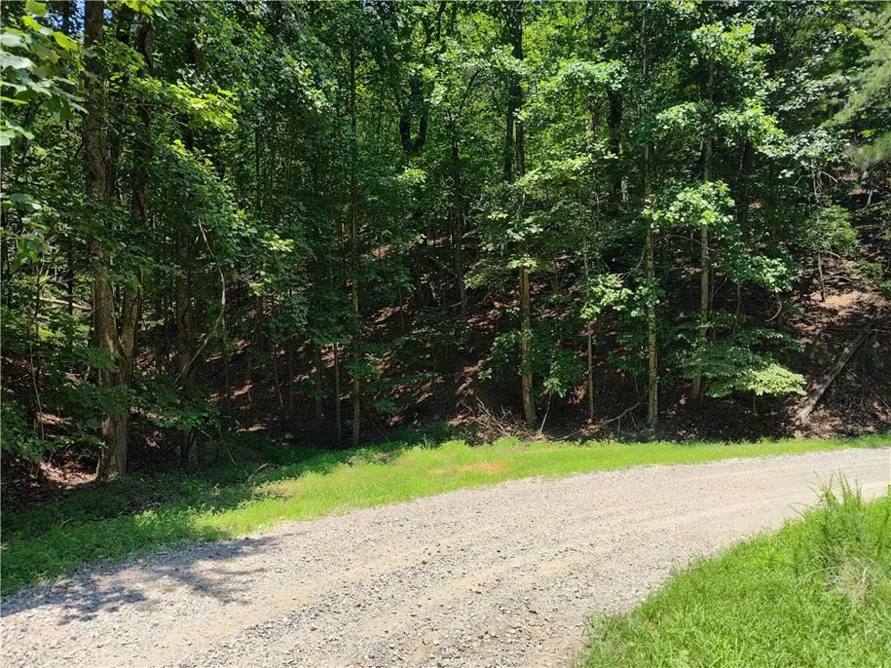 560 Neptune Circle Ranger, GA 30734