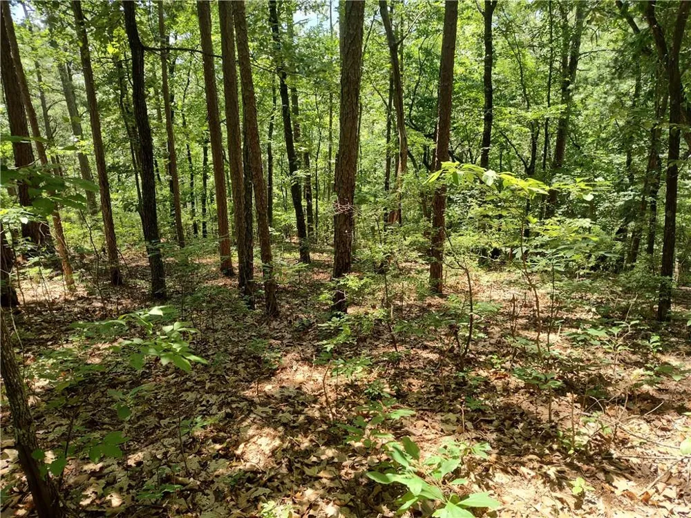 560 Neptune Circle Ranger, GA 30734