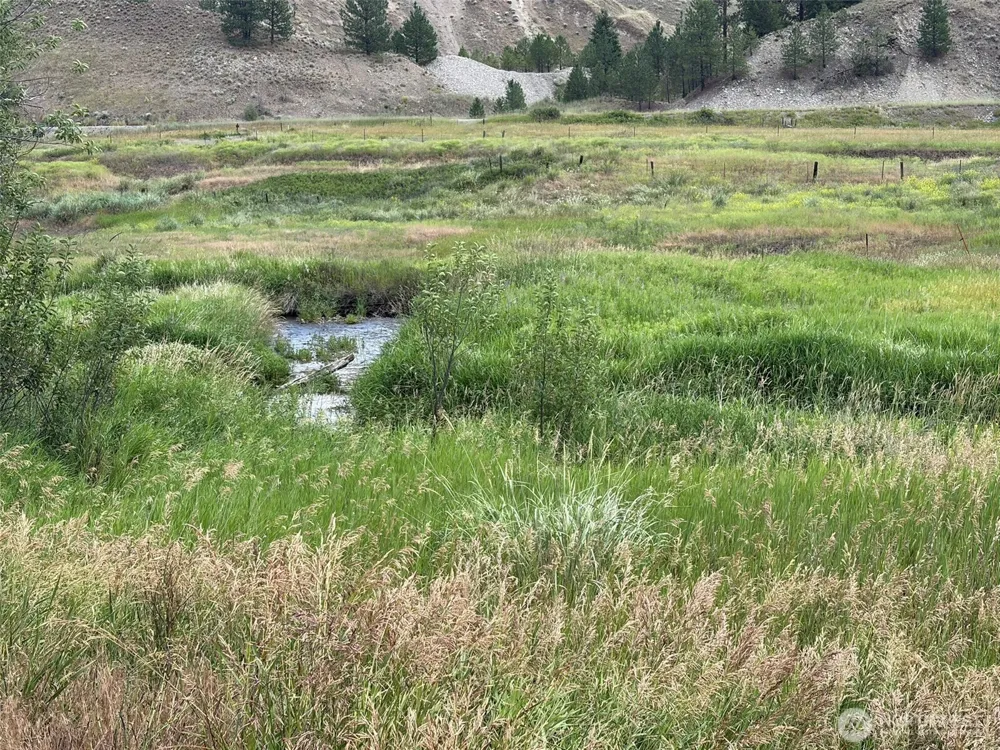 1 TBD Lundimo Meadows Tract 1 Curlew, WA 99118