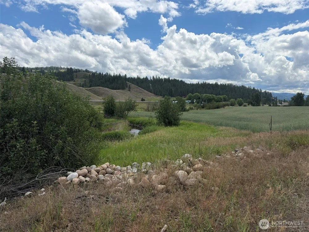 1 TBD Lundimo Meadows Tract 1 Curlew, WA 99118