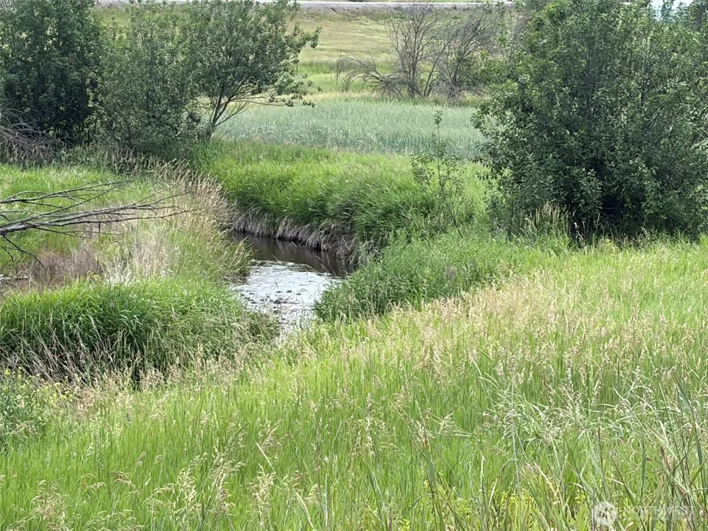 1 TBD Lundimo Meadows Tract 1 Curlew, WA 99118