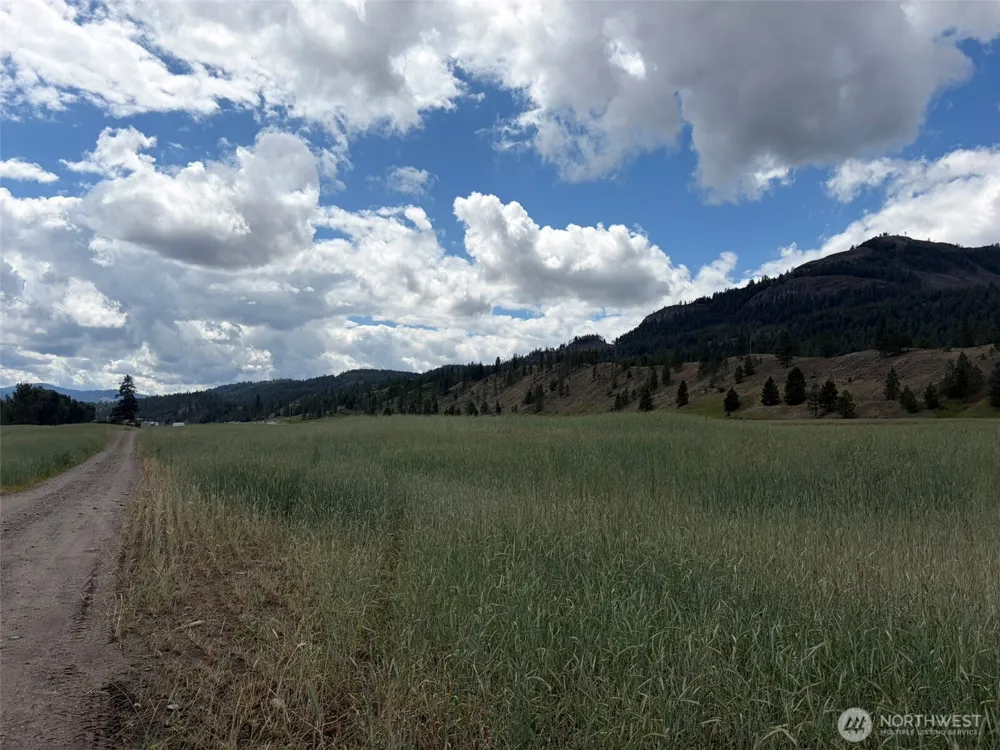 1 TBD Lundimo Meadows Tract 1 Curlew, WA 99118