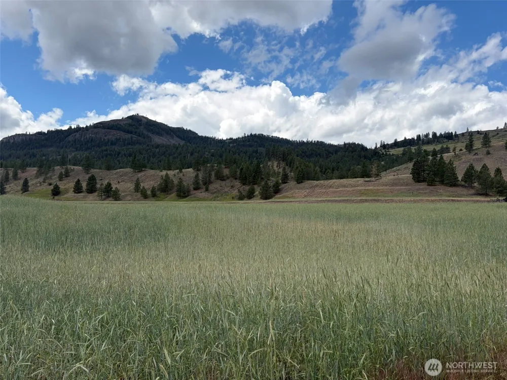 1 TBD Lundimo Meadows Tract 1 Curlew, WA 99118