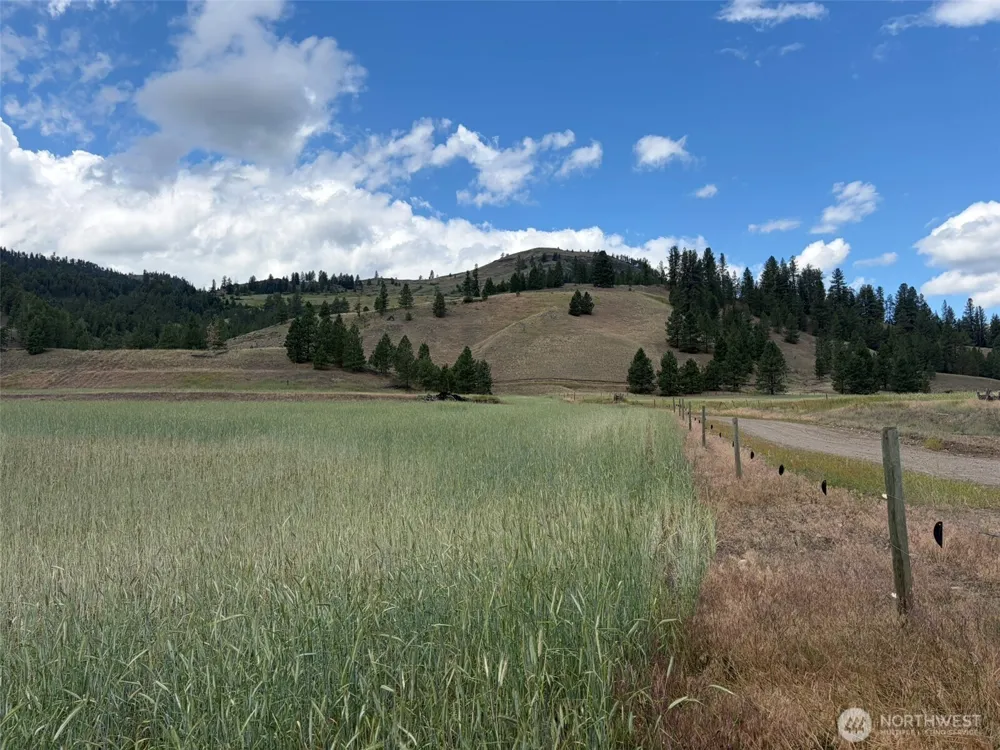 1 TBD Lundimo Meadows Tract 1 Curlew, WA 99118