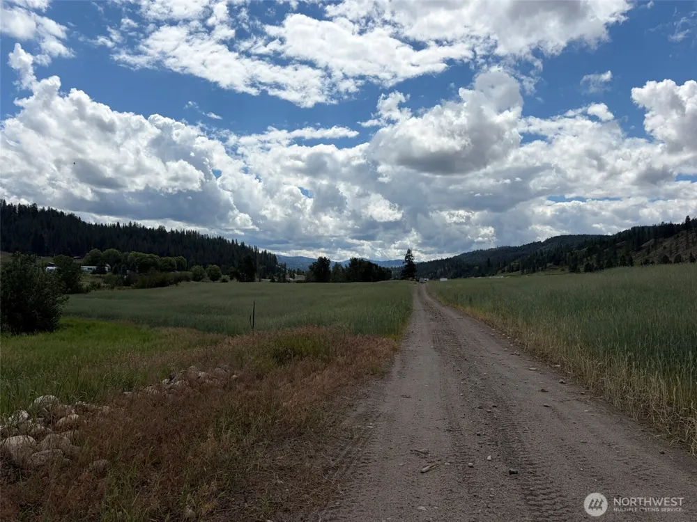 1 TBD Lundimo Meadows Tract 1 Curlew, WA 99118