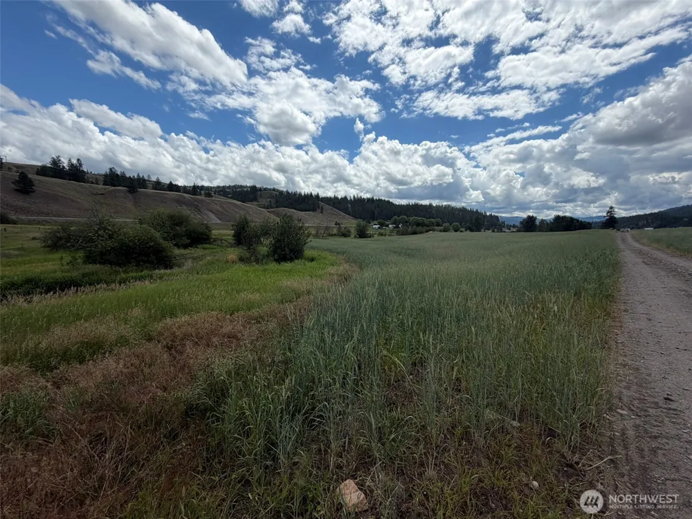 1 TBD Lundimo Meadows Tract 1 Curlew, WA 99118