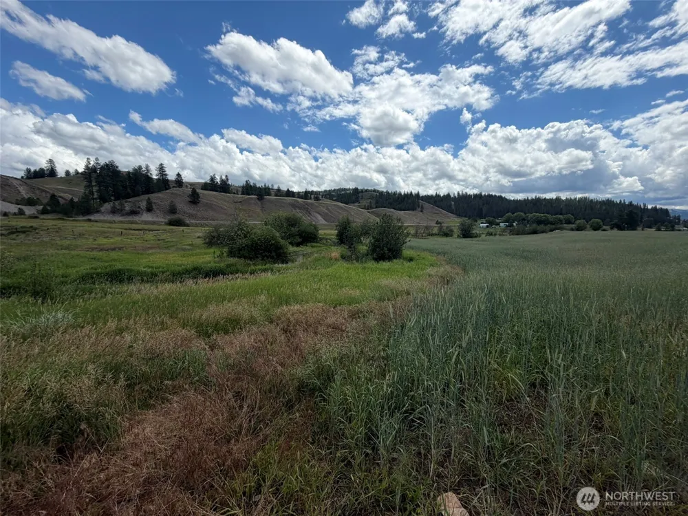 1 TBD Lundimo Meadows Tract 1 Curlew, WA 99118