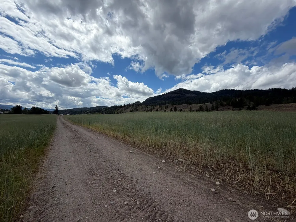 1 TBD Lundimo Meadows Tract 1 Curlew, WA 99118