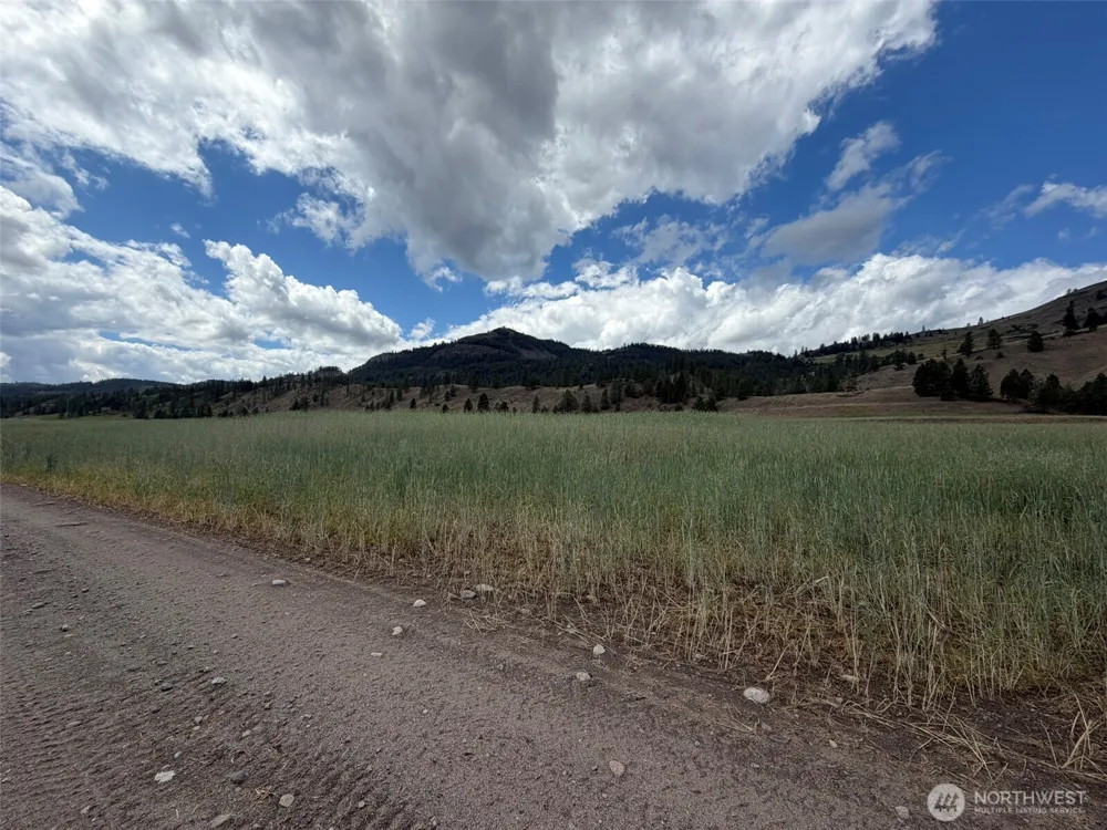 1 TBD Lundimo Meadows Tract 1 Curlew, WA 99118