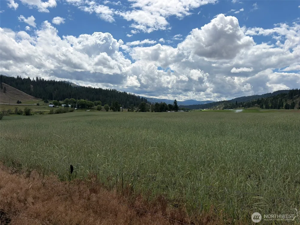 1 TBD Lundimo Meadows Tract 1 Curlew, WA 99118