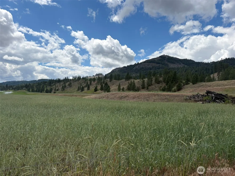 1 TBD Lundimo Meadows Tract 1 Curlew, WA 99118