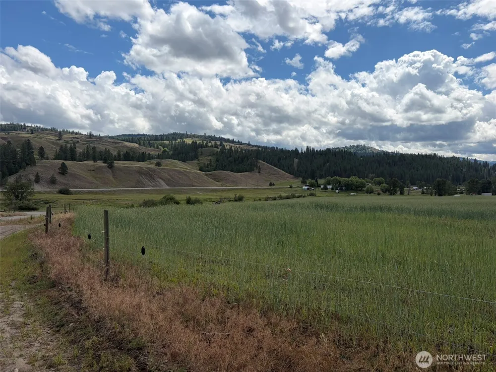 1 TBD Lundimo Meadows Tract 1 Curlew, WA 99118