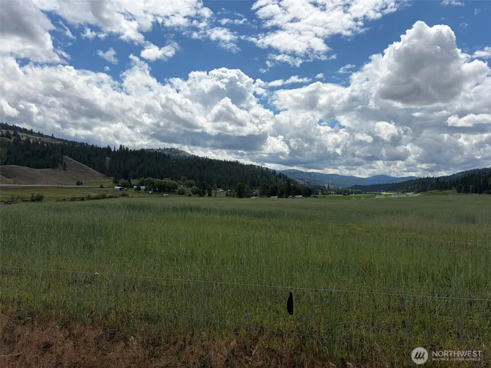 1 TBD Lundimo Meadows Tract 1 Curlew, WA 99118